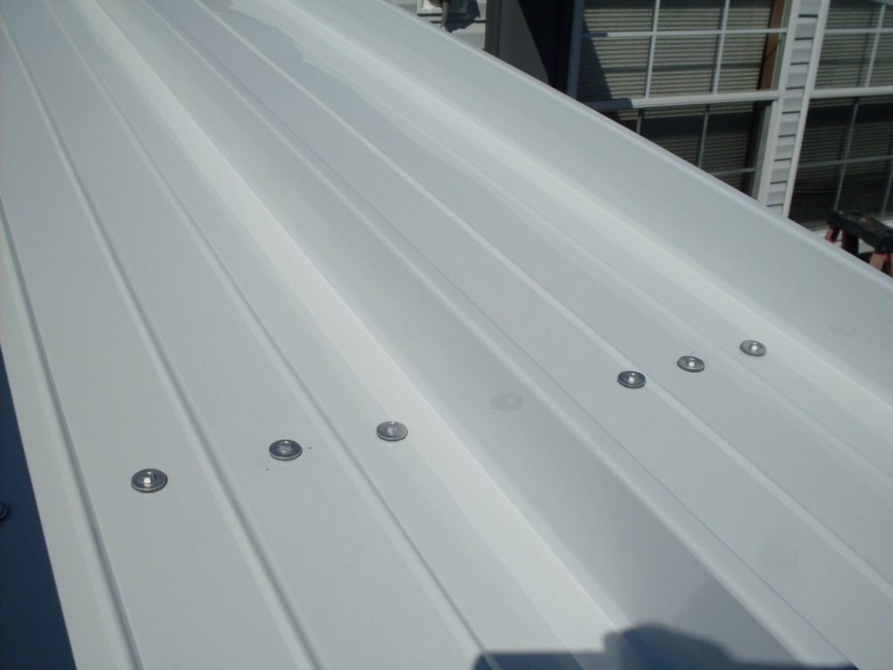 Two Rain Panel in White for a Roof